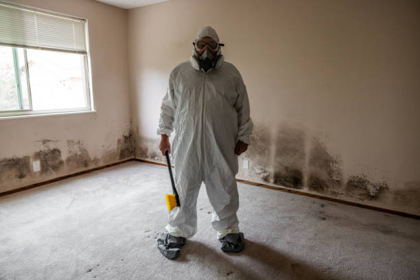 Best Biohazard Mold Removal  in Valley City, ND